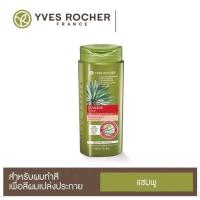 ราคา ถูกสุด แชมพู Yves Rocher ทุกสูตร Yves Rocher Anti Hair Loss Dandruff Purity Color Volume Pollution (20365344019)