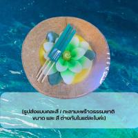 ราคา 27พฤศจิกา วันลอยกระทง กระทงเทียนดอกไม้ กะลาธรรมชาติ ปลอดภัยต่อสิ่งแวดล้อม กระทงกะลา ลอยกระทง (16568556784)