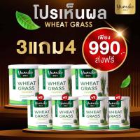 ราคา ส่งฟรีแท้1 แถม 1 2 กระปุก วีทกราส คลอโรฟิลล์ จาก แบรนยูมิโกะ Wheatgrass chlorophyll by yumiko (18499202369)