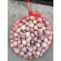 ราคา กระเทียมโทนขนาดเล็ก คัดคุณภาพ หัวเล็ก 1 กก (20689621156)