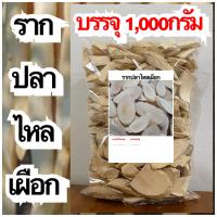 ราคา รากปลาไหลเผือก รากปลาไหลเผือกแห้ง สมุนไพรรากปลาไหลเผือก สมุนไพรรากปลาไหลเผือกแห้ง (20616509970)