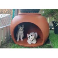 ราคา ส่งฟรี โอ่งแมว บ้านแมวดินเผา 22 นิ้ว พร้อมฝา เคลือบสี (15027796704)