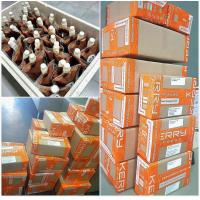 ราคา อาหารปลาไรแดงแช่แข็ง 200 ml อาหารปลาสวยงาม อาหารปลาหางนกยูง อาหารปลากัด (17345564664)