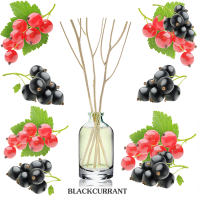 ราคา ก้านไม้หอม มินิ กลิ่น Blackcurrant 15ml (3078996477)