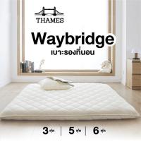 ราคา Thames เบาะที่นอน Waybridge เบาะรองที่นอน เบาะรองนอน ที่นอน Topper ขนาด 3 5 6 ฟุต เบาะรองพื้น เบาะ ท็อปเปอร์ topper (12180965721)