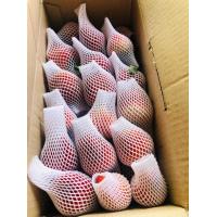 ราคา โฟมห่อผลไม้ 1000ใบ S10 S12 L12 S15 ตาข่ายใส่ผลไม้ ตาข่ายห่อผลไม้ (10172313788)