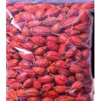 ราคา เม็ดเก็กฮวย เม็ดพุดจีน เม็ดพุด จุ่ยกี่จี้ จุยกีจี้ เม็ดทำสีเก๊กฮวย黄桅子 100 กรัม (20532845760)