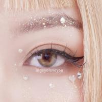 ราคา คอนแทคเลนส์ Walnut Gray Shinee ขนาดมินิ (20585299368)