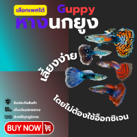 ราคา อาหารปลาและปลาหางนกยูง หางใหญ่ สวยงาม รับประกัน เกรดส่งออก ขยายพันธุ์ได้ (20676897675)