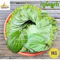 ราคา က မ ရ က ใบพลู พลูกินหมาก พลูพม่า พลู 1กิโลกรัม ใบพลูสด พลูสด พลูเขียว หมาก หมากแห้ง กินหมาก หมากพม่า พม่า Myanmar (14930623322)