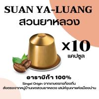 ราคา กาแฟแคปซูล กาแฟ น่าน สวนยาหลวง คั่วเข้ม คั่วกลาง10แคปซูล Nespresso อาราบิก้า 100 (18305251823)