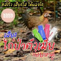 ราคา เสียงต่อไก่ตัวเมียก๋อยหาคู่ เมมเสียงไก่ตัวเมียก๋อยหาคู่ แฟลชไดรฟ์เสียงต่อไก่ตัวเมียก๋อยหาคู่ มีเก็บเงินปลายทาง (14435620222)