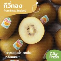 ราคา CityFresh กีวีทอง Zespri Sungold Kiwi จากประเทศนิวซีแลนด์ ผลไม้นำเข้า มีบริการบ่ม (20507835788)