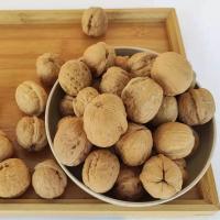 ราคา ลูกวอลนัท walnut 1kg ขนมนกแก้ว ชูการ์ แฮมสเตอร์ กระรอก สัตว์เลี้ยงฟันแทะ (20461277187)