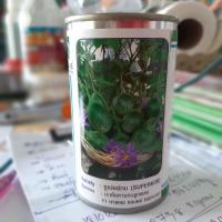 ราคา มะเขือเปราะลายคางกบคางกบสุวนันท์ซุปเปอร์กบ ติดดกขั้วผลยาวสวย 20กรัม (19922011046)