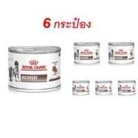 ราคา Royal Canin VET Recovery Cat Dog 195 g จำนวน 6 กระป๋อง อาหารสุนัข อาหารแมว ป่วย พักฟื้น หลังผ่าตัด รอยัลคานิน (20633707299)