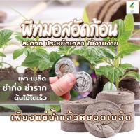 ราคา พีทมอสอัดก้อน ใช้งานง่าย ดินพีทมอสอัดก้อน Peat Pellets ขนาด 30 มม (19255569922)