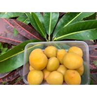 ราคา ท้อดองสามรส ท้อดอง 300 กรัม ท้อดอง พีช ผลไม้ดอง ผลไม้แช่อิ่ม (7535385928)