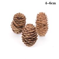 ราคา 5 10ชิ้นลูกสนธรรมชาติคริสต์มาสลูกสนธรรมชาติสำหรับเครื่องประดับต้นคริสมาสต์งานฝีมือของตกแต่งบ้านของขวัญ (20133913762)