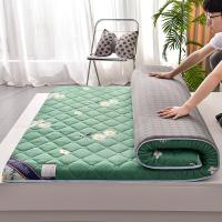 ราคา พับเสื่อทาทามิที่นอนที่มีคุณภาพสูงพรมปูพื้นคู่เดียวลื่นนอนที่นอนนุ่มสบายที่นอนพระมหากษัตริย์พระราชินี (15902686999)