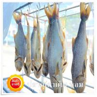 ราคา ปลากุเลาเค็ม หอม แดดเดียว ขนาด 400กรัม (17222692726)