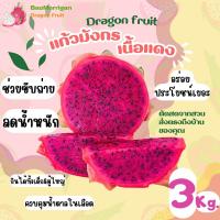 ราคา แก้วมังกรภูเรือ เนื้อแดง 3 kg ตัดสดๆจากสวน (20491009348)