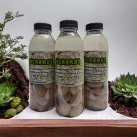 ราคา สะตอดอง สะตอข้าวดองเกลือ สะตอใต้ รสชาติกรอบ มัน อร่อย สด สะอาด 300 กรัม (14971567624)