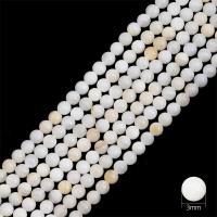 ราคา ลูกปัดเปลือกหอยธรรมชาติสีขาว3 4 6มม ลูกปัดกลมประดับมุกหลวมสำหรับสร้อยคอสร้อยข้อมือต่างหูทำเครื่องประดับ DIY ขนาด15นิ้ว38ซม เกลียว (10241903191)