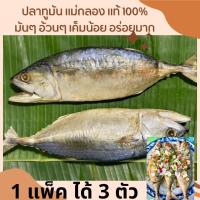 ราคา ปลาทูมันแดดเดียว แพ็ค3ตัว แม่กลองแท้ๆ เค็มน้อย อร่อยมาก (20462176380)