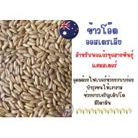 ราคา ข้าวโอ๊ต Australia อาหารเสริมสำหรับนก แบ่งขาย 1 กิโลกรัม (16630045086)
