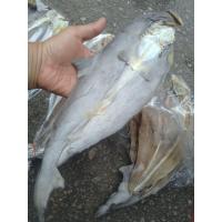 ราคา Shark Fish Dryปลาฉลามพม่า900g (20151550576)