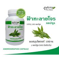 ราคา ฟ้่าทะลายโจรชนิดเเคปซูล ผงฟ้าทะลายโจร 100 บรรจุ 100 แคปซูล 1 แคปซูล ขนาด 500 มิลลิกรัม (16643781106)