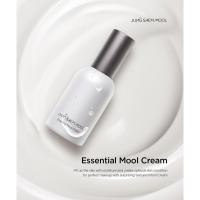 ราคา พร้อมส่ง JUNG SAEM MOOL ESSENTIAL MOOL CREAM 50 ml Exp 02 26 (15689729658)