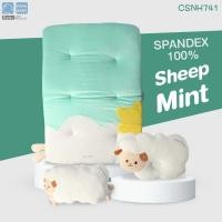 ราคา PAPA BABY ชุดที่นอนปิคนิค ผ้าspandex รุ่น CSNH741 745 นุ่ม นอนสบาย พร้อมถุงพกพาสะดวก ที่นอนเด็ก เบาะนอนเด็ก (15424760394)