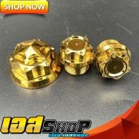 ราคา น็อตแผงคอ น็อตหัวโช้ค ลายเฟือง ทอง โซนิค MSX ZoomerX เนื้องานสแตนเลสแท้ (11227588545)