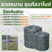 ราคา ลวดหนาม ลวดหนามชุบกัลวาไนซ์ ทนสนิม ลวดเบอร์ 14 16 17 4kg 5kg 10kg เกลียวสวย ปมแน่น แข็งแรง รั้วลวดหนาม ล้อมรั้ว (18556249225)