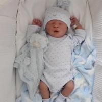 ราคา Realistic Reborn Dolls 18 Inch Lifelike Hand Detailed Painting Newborn Baby Dolls With Visible Veins For Birthday Gifts (20202809169)