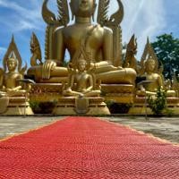 ราคา เสื่อวัด เหลือง แดง ขนาดยาว มีความยาวให้เลือก 2ขนาด (20517340636)