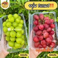 ราคา องุ่นไซมัสคัส องุ่นกลิ่นลิ้นจี่ แพ็คละ500กรัม (20687908150)