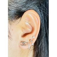 ราคา ราคา 1คู่ จิวหูชาแนลสำหรับผิวแพ้ง่ายขนาด 6และ9มิล สีเงินวัสดุสแตนเลสเกรดเครื่องมือแพทย์316Lขนาดก้านใส่ 1 2 มิลไม่ลอก ไม่ดำ ไม่แพ้ (7642439797)