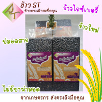 ราคา ข้าวไรซ์เบอรี่ ข้าวใหม่ 100 ปลูกแบบเกษตรปลอดภัย น้ำหนัก 1 กิโลกรัม แพ็คสุญญากาศ พร้อมส่ง (16368626055)