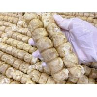 ราคา พร้อมส่ง จ๊อปู จ้อปู 2 แพค ห้อยจ๊อปู สด สะอาด ไม่ใส่สารกันเสีย ไม่ใส่ผงชูรส แถมน้ำจิ้มบ๊วยทุกแพค (4070240705)