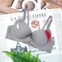 ราคา เสื้อชั้นใน DQ8196 มินิฮาร์ท เสริมฟองกระชับอก เสื้อชั้นในผู้หญิง (19757343064)