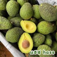 ราคา พร้อมส่ง 1KG อโวคาโด้พันธุ์แฮส แก่จัด avocado hass ราชาอะโวคาโด (20733873384)