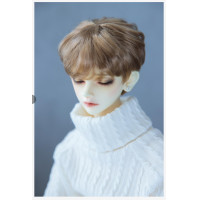 ราคา BJD doll 13 14 16 MSD DD super soft silk hair boy 5 color optional doll accessory doll wigs (10222780681)