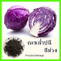 ราคา พร้อมส่ง รหัส 079 เมล็ดพันธุ์แท้ OP แท้ กะหล่ำปลีสีม่วง Purple Cabbage เมล็ดกะหล่ำปลี เมล็ดพันธุ์ผัก เมล็ดพันธุ์ เมล็ดพันธุ์พืช (7730562571)