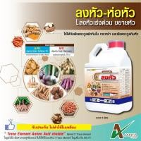 ราคา ลงหัว ห่อหัว เอเจนต้า เร่งหัวใหญ่ หัวแน่น น้ำหนักดี สีสวย สำหรับมันสำปะหลังและพืชลงหัว ขนาด 5 ลิตร (4991300408)
