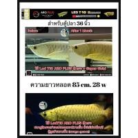 ราคา หลอดไฟ2in1 โชว์ปลาและเทนนิ่งสำหรับปลามังกรทอง T10 4แถว ขนาด 90cm สำหรับตู้36นิ้ว ความยาวหลอด 85cm (19013137165)