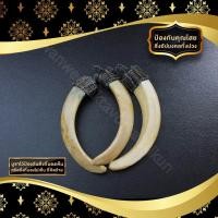 ราคา เขี้ยวหมูป่าแท้ พร้อมเชือกถัก จี้ห้อยคอ (17442389425)