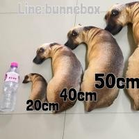 ราคา หมอนหมา หมอนหมาหงอย หมาจ๋อยสามมิติ เหมือนมาก ของขวัญ (11750268772)